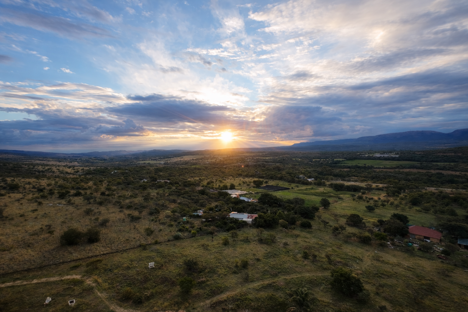3 (8)